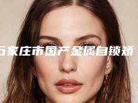 石家庄市国产金属自锁矫正价格表项目参考-石家庄市国产金属自锁矫正价格