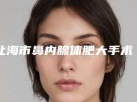 北海市鼻内腺体肥大手术知名医生-北海市鼻内腺体肥大手术专家排名榜前十名口碑医生评测