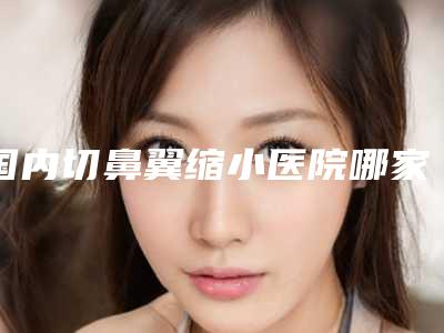 国内切鼻翼缩小医院哪家强:切鼻翼缩小医院50强深度点评