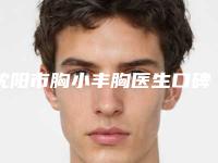 沈阳市胸小丰胸医生口碑排行榜十强权威评测-沈阳市王锦文整形医生