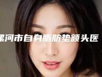 漯河市自身脂肪垫额头医院去哪个好一点(郾城科美医疗美容诊所等荣誉上榜_价格收费可查)