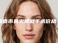 宜春市鼻尖降低手术价格(费用)清单2025公布-宜春市鼻尖降低手术是如何确定价格