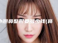 小翘鼻整形要多少钱(鼻头大整形要多少钱)