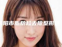 庆阳市脂肪粒去除整形医院(庆阳华美整形美容中心这份名单看了不亏)