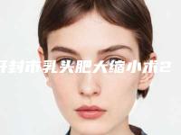 开封市乳头肥大缩小术2025价格收费表流出-开封市乳头肥大缩小术大概需要费用是多少