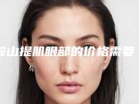 鞍山提肌眼部的价格需要用多少