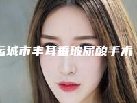 运城市丰耳垂玻尿酸手术价目表，近期更新上线(2025年均价为：6947元）