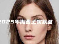 2025年湘西土家族苗族自治州树脂补黑三角价位表详细完整曝光一览