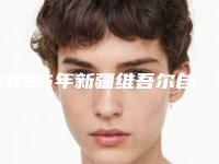 2025年新疆维吾尔自治区去妊娠斑医院排行top10满城风靡(新疆维吾尔自治区去妊娠斑整形医院)